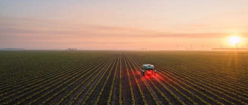 Wide view of a vast soybean field at sunrise with the robot working in the distance.